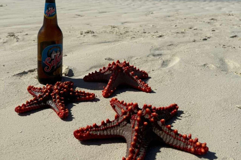 桑给巴尔：乔赞尼森林、库扎洞穴与蓝礁湖+海星探秘桑给巴尔：乔赞尼森林、库扎洞穴与蓝礁湖+海星