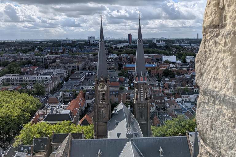 Delft: Private guided tour with a French-speaking guide