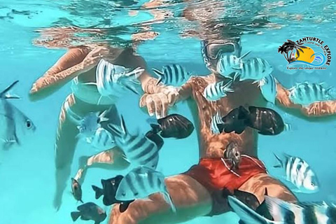 Zanzibar: prywatne nurkowanie w Błękitnej Lagunie i pływanie z rozgwiazdamiTransport do hotelu w dowolnym miejscu na Zanzibarze