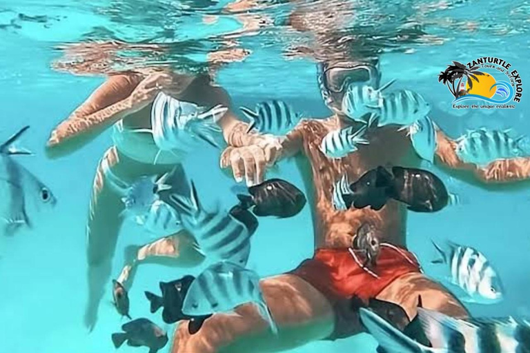 Zanzibar: prywatne nurkowanie w Błękitnej Lagunie i pływanie z rozgwiazdamiTransport do hotelu w dowolnym miejscu na Zanzibarze