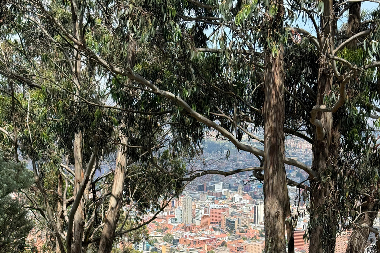 Bogota: Moyas wandeling met uitzicht op de stad