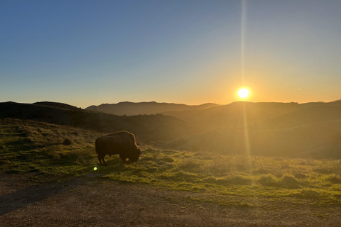 Catalina Island: Sunset Summit Tour