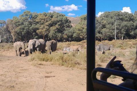 Cape Town Aquilla big sunset safari With transport & food aquila sunset bestseller