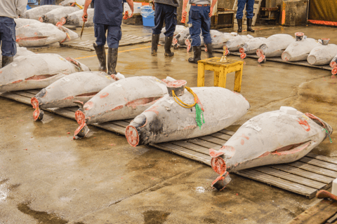 Tokyo: TeamLab Planets Art & Tsukiji Market Food Tour