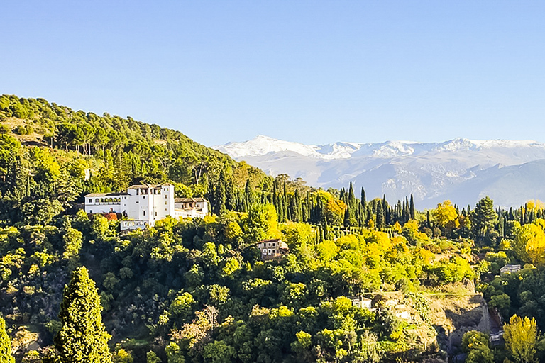 Granada: Alhambra & Nasrid Palaces Tour with Tickets Tour in French for 20 People