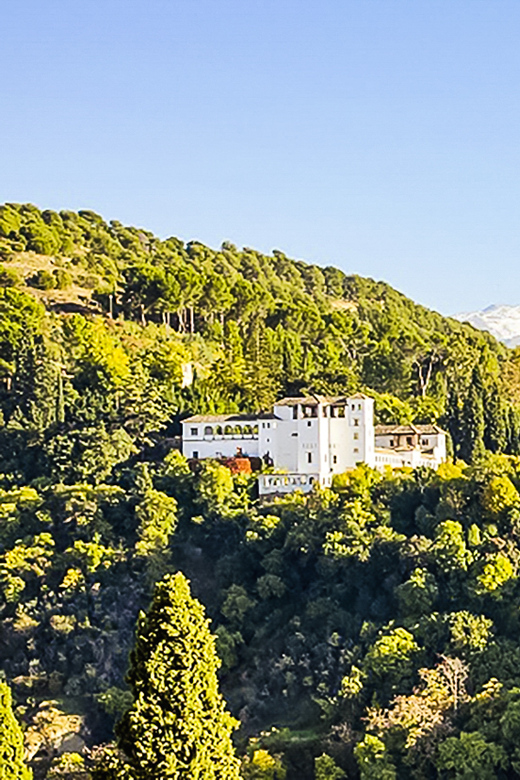 Granada: Alhambra & Nasrid Palaces Tour with Tickets