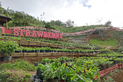 Cebu: Trans-central Highway Mountain Tour