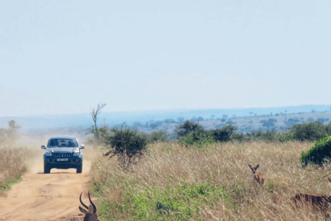 OUGANDA : 7 jours aux chutes de Murchison, à Queen Elizabeth et à Ziwa