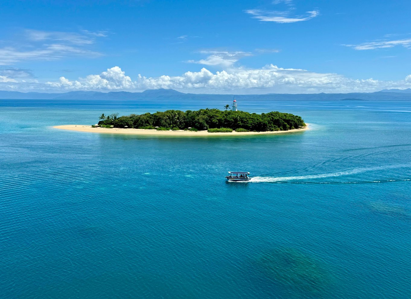 Port Douglas: Reef & Low Isles-krydstogt på luksuskatamaran