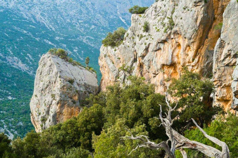 From Cala Gonone: Tiscali Nuragic Village Trekking Tour