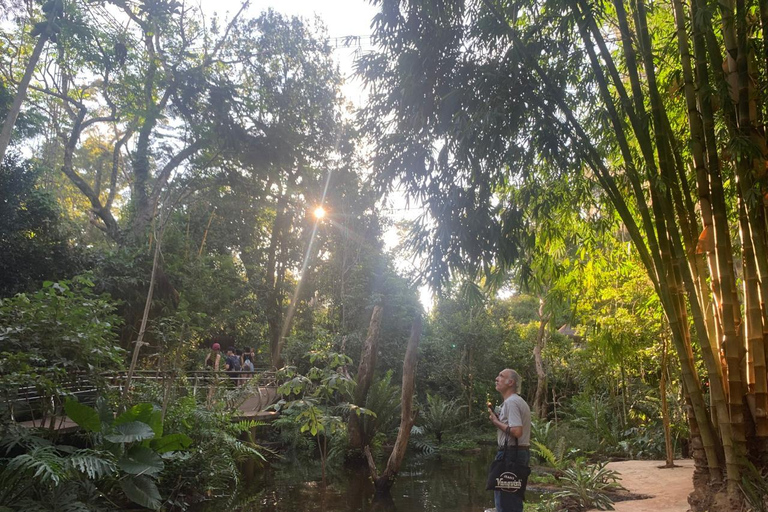 Foz do Iguaçu: Falls, Bird Park, & Three Borders Tour