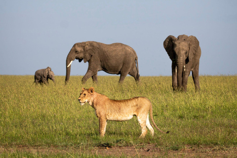2-Day Tsavo East National Park Private Safari