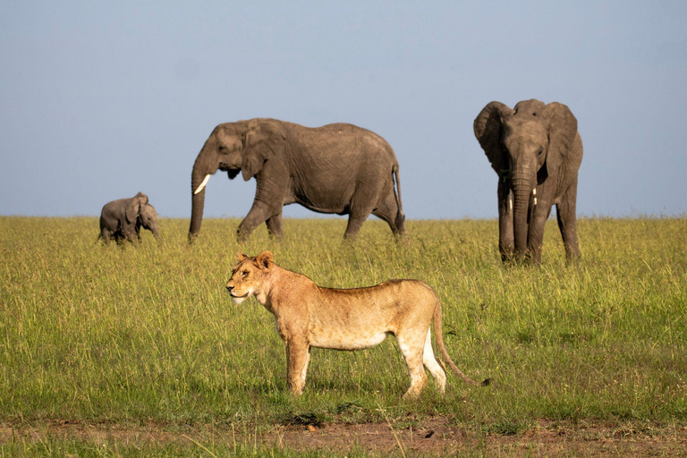 2-Day Tsavo East National Park Private Safari