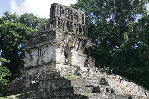 Palenque: zwiedzanie z przewodnikiem