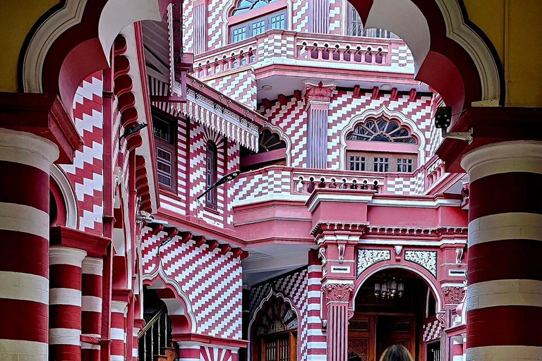 Kandy To Colombo Transfer With Tea Factory & Train Ride