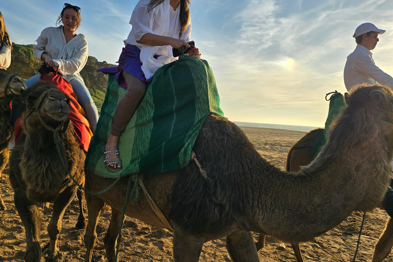 Camel Walk in Tangier