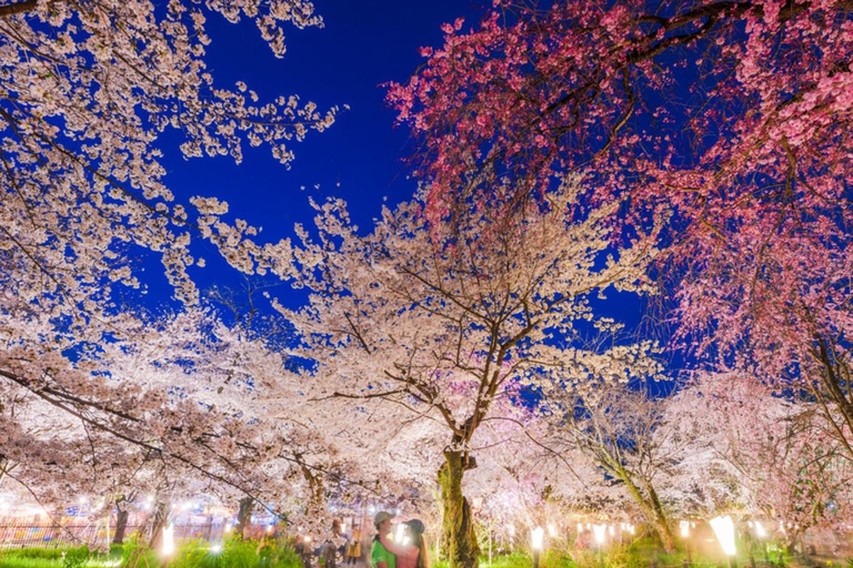 Quioto/Osaka: Viagem de 1 dia com guia personalizável a Quioto e Nara