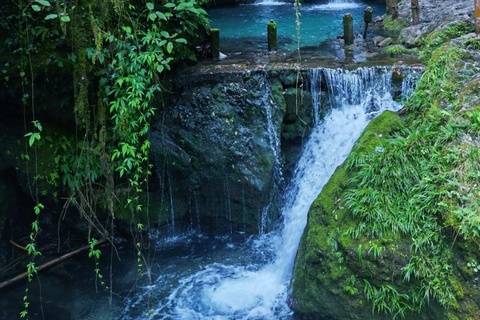 Chengdu: Qingcheng-berg, Dujiangyan en Sichuan-operaQingcheng Mountain, Dujiangyan&amp;SiChuan Opera All-Inclusive