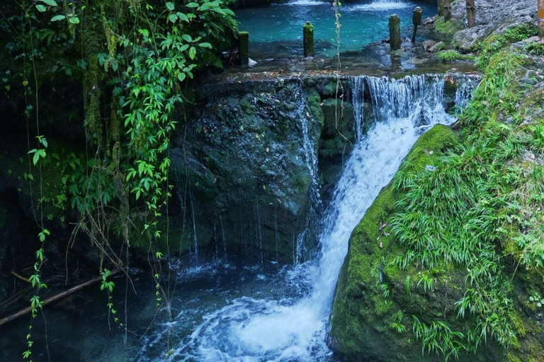 Chengdu: Qingcheng-berg, Dujiangyan en Sichuan-operaQingcheng Mountain, Dujiangyan&amp;SiChuan Opera All-Inclusive