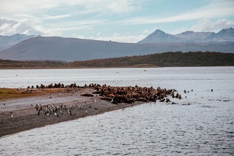 Ushuaia: Boat Trip to Isla Martillo: Penguins in the Beagle Channel Ushuaia: Navigation to Martillo Island: Penguins along the Beagle Channel