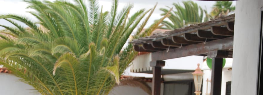 Ténérife : dégustation de vin des Canaries dans votre villa