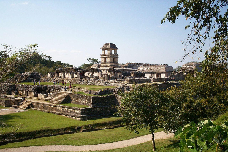 NAVETTE DE FLEURS VERS PALENQUE