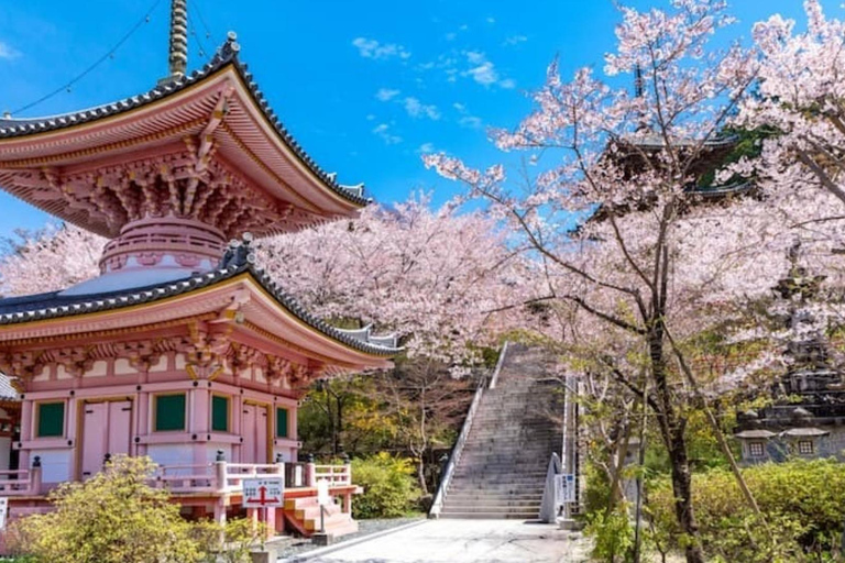 From Osaka: Mt. Yoshino Cherry Blossoms & Nara Deer Day Trip