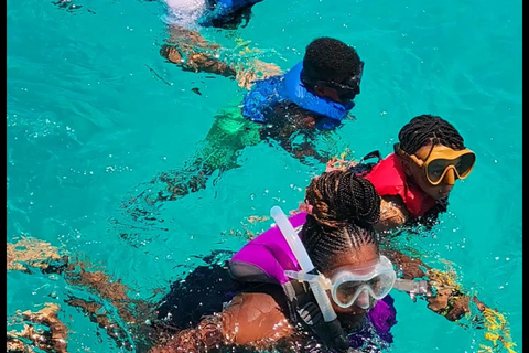 Tour por el arrecife de Buccoo y Nylon Pool con el capitán PhillipsTour en barco por Buccoo Reef con el capitán Phillips