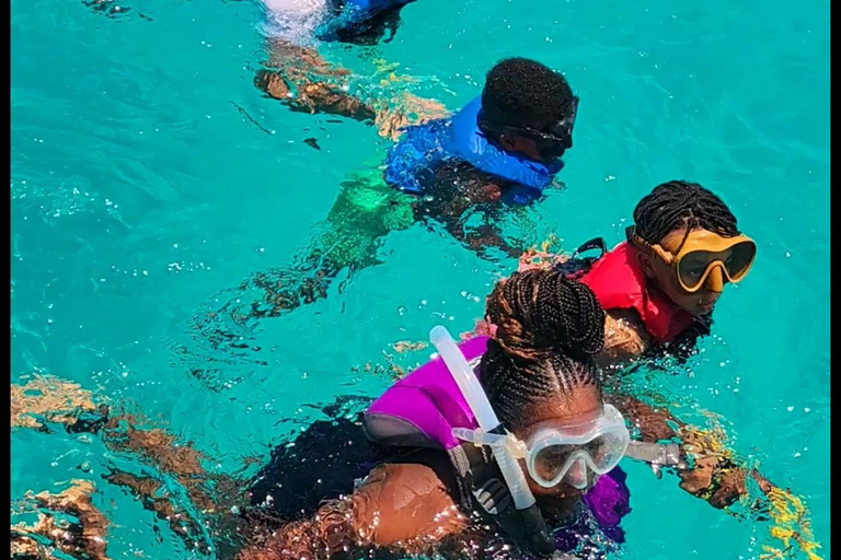 Tour por el arrecife de Buccoo y Nylon Pool con el capitán PhillipsTour en barco por Buccoo Reef con el capitán Phillips