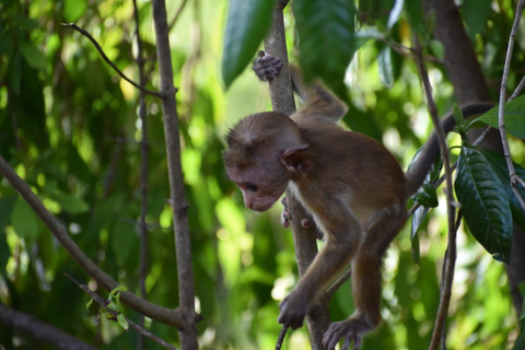 De:Mirissa/Galle/Hilkaduwa com safari em Udawalawe