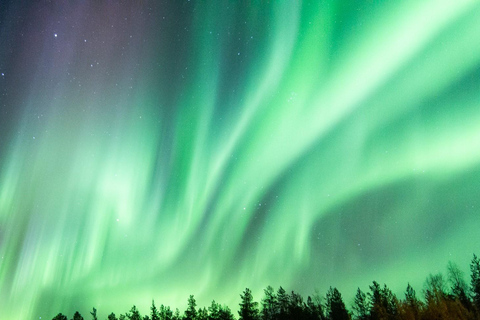 Rovaniemi: tour di caccia all&#039;aurora boreale con garanzia