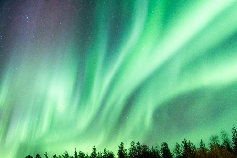 Rovaniemi: Excursión de Caza de Auroras Boreales con Garantía