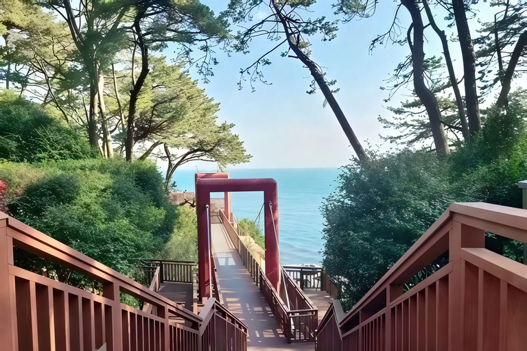Depuis Busan : billet de train pour la Sky Capsule du parc de la Ligne BleueBusan : visite à pied de Haeundae avec billet pour la Sky Capsule