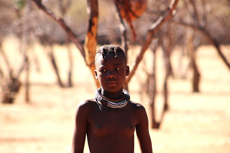 10 Days Taste of Namibia | Auto Tour Camping