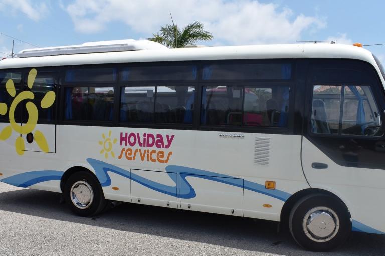 Jamaica: tour naar Dunn's River Falls, 9 Mile en laguneVanaf hotels in Ocho Rios