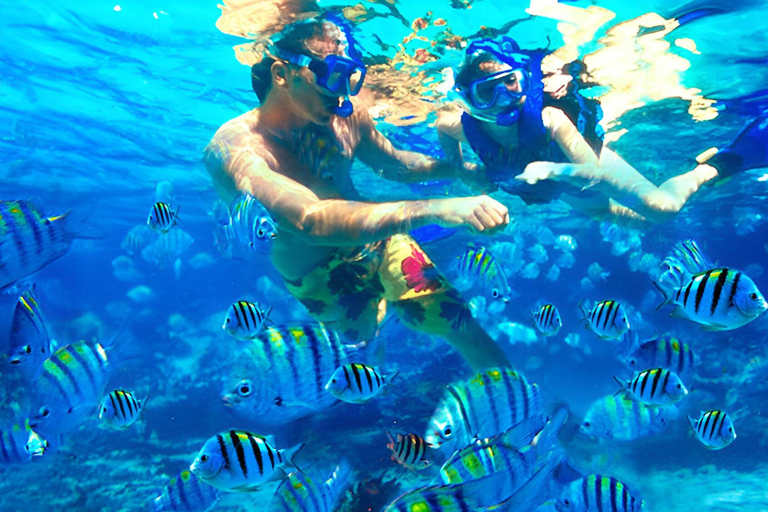 Bali: Snorkeling in 2 punti con pranzo e trasporto