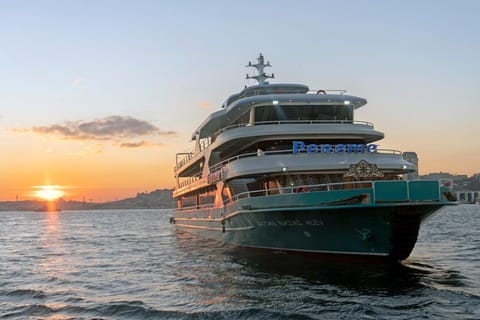 Istanbul: Bootsfahrt auf dem Bosporus bei Sonnenuntergang und am Tag, mit Getränken und Snacks