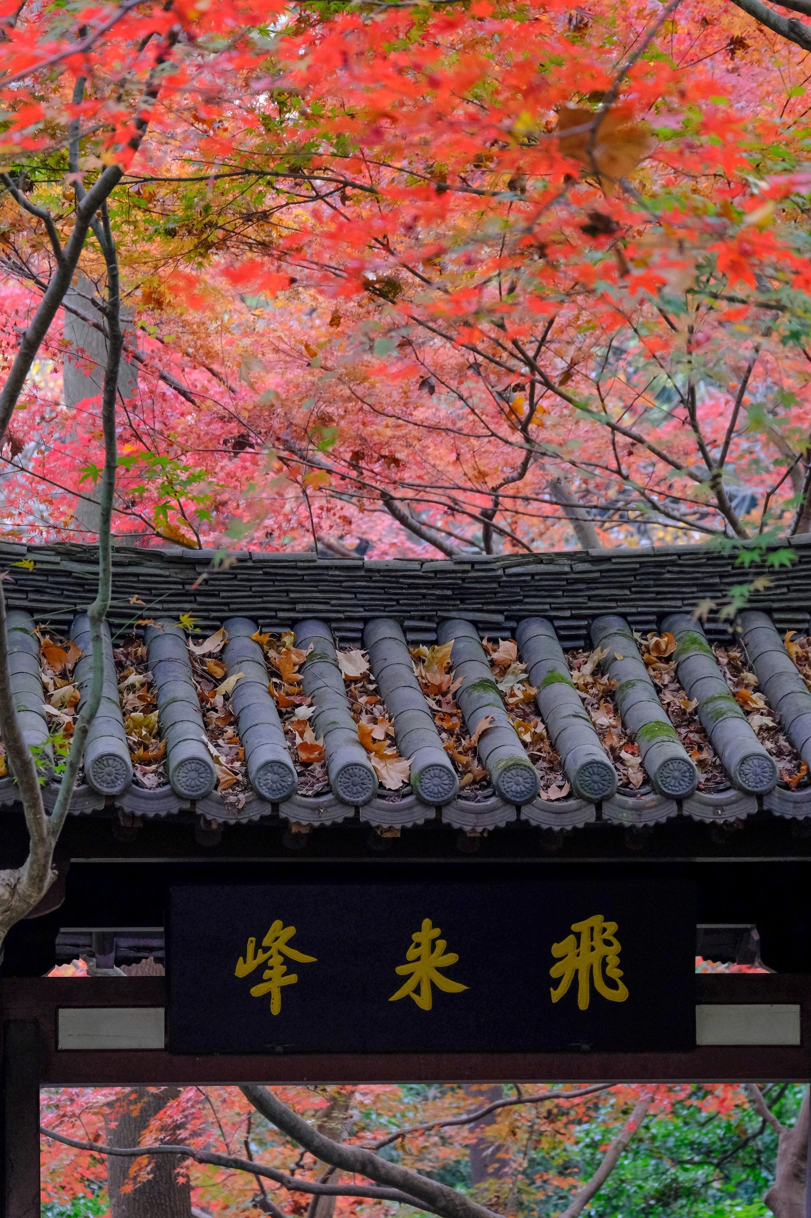 Hangzhou-Tempelpfad: Erkunde Lingyin, Faxi und Yongfu