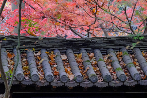 Hangzhou Temples Trail: Explore Lingyin, Faxi, and Yongfu