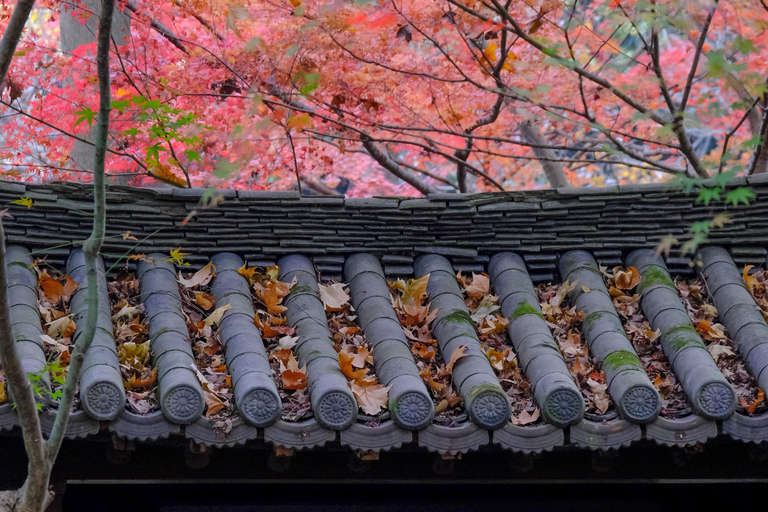 Hangzhou Temples Trail: Explore Lingyin, Faxi, and Yongfu