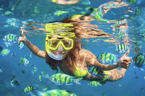 مغامرة الغوص مع سلحفاة وايكيكي
