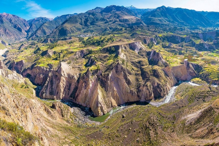 Arequipa : Excursion au Canyon de Colca, option se terminant à PunoDepuis Arequipa : Excursion au Canyon de Colca se terminant à Puno