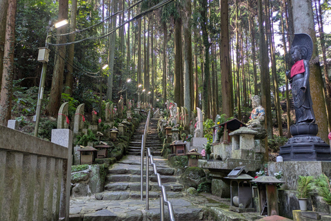 Nara: Mt. Ikoma Guided Hiking Tour with Cable Car and Views