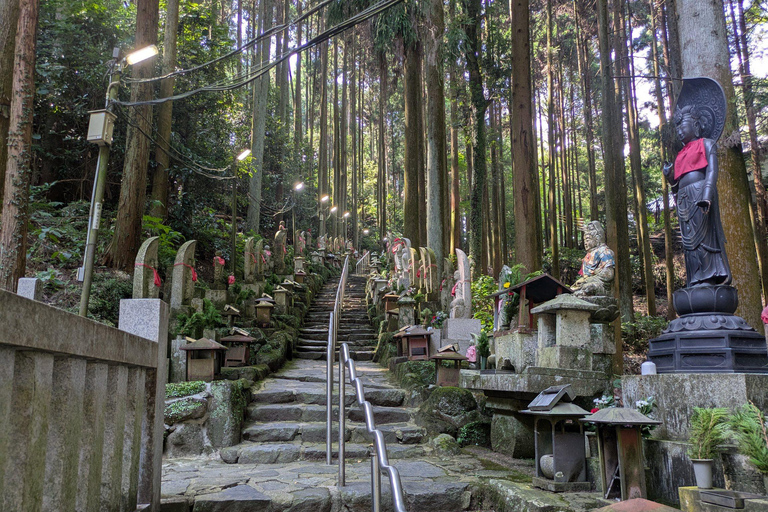 Nara: Mt. Ikoma Guided Hiking Tour with Cable Car and Views