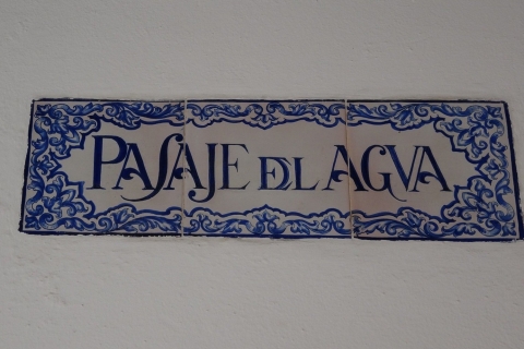 Enchanted Seville: Prywatna wycieczka piesza