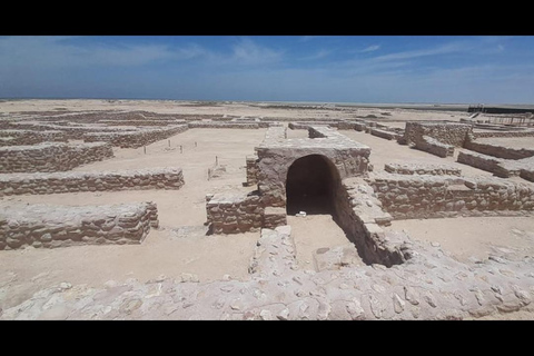 Qatar:Excursión al Norte, Isla Púrpura, Fuerte de Zubara, Pueblo de Jumail