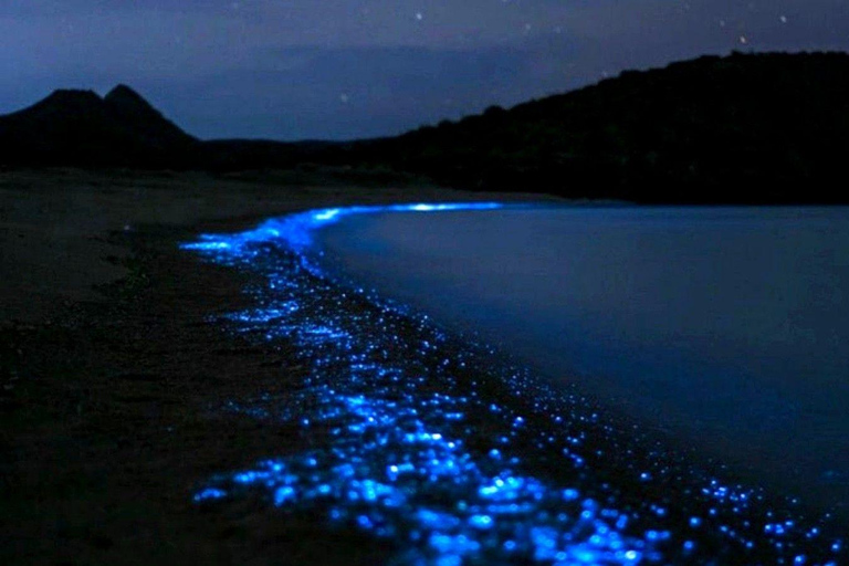 Huatulco: Turtle Release & Bioluminescence Tour