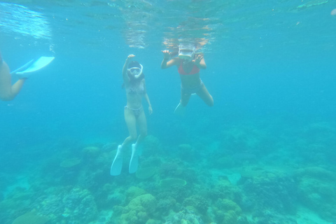 Coron: Dugong Watching with Sea Turtle and Coral Garden tour