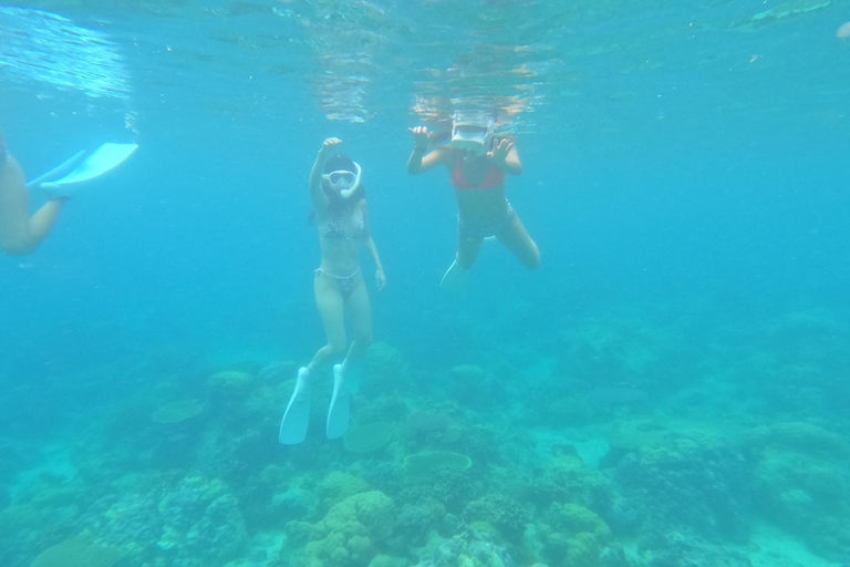 Coron: Osservazione dei dugonghi con tour delle tartarughe marine e del giardino di corallo