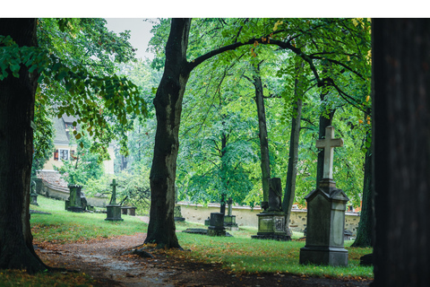 Görlitz: From the Pestacker to the Fall of Man – Guided Tour of St. Nicholas Cemetery